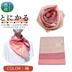 yӂ邳Ɣ[Łz ƂɂyӂXJ[t VNRbgRpNgXJ[t Ƃɂ 31cm×145cmڂ䂭Of[VJ[ SD { Y  