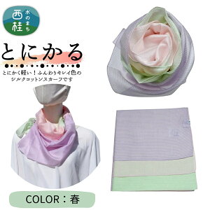 yӂ邳Ɣ[Łz ƂɂyӂXJ[t VNRbgRpNgXJ[t Ƃɂ 31cm×145cmڂ䂭Of[VJ[ SD { Y  