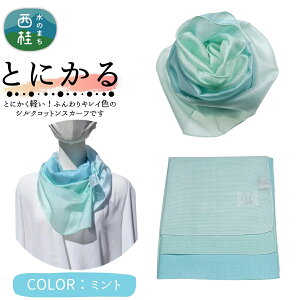yӂ邳Ɣ[Łz ƂɂyӂXJ[t VNRbgRpNgXJ[t Ƃɂ 31cm×145cmڂ䂭Of[VJ[ SD { Y  