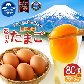 【ふるさと納税】 ＼期間限定フェスタ対象品／ たまご 卵 旨味 人気 赤玉 20個～150個 単品 定期便 割れ保証付 一等賞 受賞 新鮮 濃厚 卵かけご飯 コク もみじたまご TKG 10000円以下 朝食 夕食 夜食 産地直送 忍野村 山梨県産 送料無料 ※沖縄県、離島不可