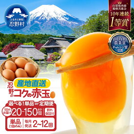 【ふるさと納税】たまご 卵 旨味 人気 赤玉 20個～150個 単品 定期便 割れ保証付 一等賞 受賞 新鮮 濃厚 卵かけご飯 コク もみじたまご TKG 10000円以下 朝食 夕食 夜食 産地直送 忍野村 山梨県産 送料無料 ※沖縄県、離島不可