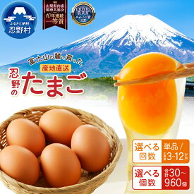 【ふるさと納税】 ＼12/2寄附入金分まで年内配送可！／ たまご 卵 旨味 人気 赤玉 30個～150個 単品 定期便 割れ保証付 一等賞 受賞 新鮮 濃厚 卵かけご飯 コク もみじたまご TKG 10000円以下 朝食 夕食 夜食 産地直送 忍野村 山梨県産 送料無料 ※沖縄県、離島不可