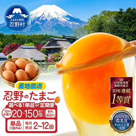 【ふるさと納税】たまご 卵 旨味 人気 赤玉 20個～150個 単品 定期便 割れ保証付 一等賞 受賞 新鮮 濃厚 卵かけご飯 コク もみじたまご TKG 10000円以下 朝食 夕食 夜食 産地直送 忍野村 山梨県産 送料無料 ※沖縄県、離島不可