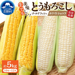 yӂ邳Ɣ[Łz y2026Ns\z Ƃ낱 S[hbV zCgVR Hה lߍ킹 2.5kg(4`6{j 5kg(10`12{) ̂ lC   Yn VN M