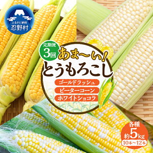 yӂ邳Ɣ[Łz __ZNg(3񂨓͂) 2026Ns\^^ Ƃ낱 S[hbV s[^[R[ zCgVR Hה 2.5kg 5kg ̂ lC  