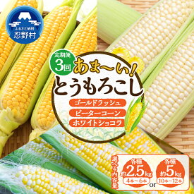 【ふるさと納税】 ★セレクト定期便(月3回お届け)★ 2027年先行予約！ とうもろこし ゴールドラッシュ ピーターコーン ホワイトショコラ 食べ比べ 約2.5kg 約5kg 朝採れ 人気 野菜 お取り寄せ 産地直送 新鮮 ギフト 贈答 送料無料 山梨県 忍野村 ※沖縄県、離島不可