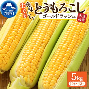 yӂ邳Ɣ[Łz y2026Ns\z Ƃ낱 S[hbV 2.5kg(4`6{j 5kg(10`12{) R[ ̂ lC gERV   XC[gR[ Yn _ƒ VN 