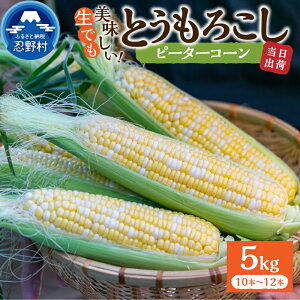 yӂ邳Ɣ[Łz y2026Ns\z Ƃ낱 s[^[R[ 2.5kg(4`6{j 5kg(10`12{) ̂ lC Ƃ   XC[gR[ Yn _ƒ  VN 蕨 