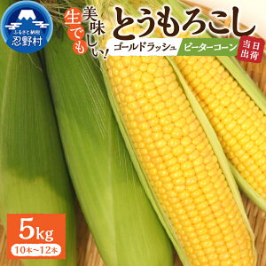 yӂ邳Ɣ[Łz y2026Ns\z Ƃ낱 S[hbV s[^[R[ Hה lߍ킹 2.5kg(4`6{j 5kg(10`12{) ̂ lC   Yn VN Mtg v
