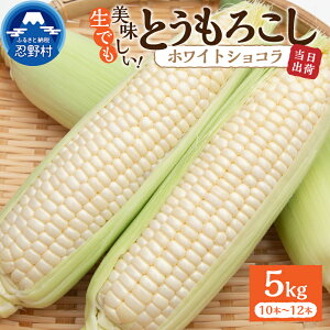yӂ邳Ɣ[Łz y2026Ns\z Ƃ낱 R[ ̂ lC gERV zCgVR 2.5kg 5kg Ƃ   Yn _ƒ  VN Mtg v[g 
