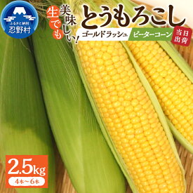 【ふるさと納税】 【2026年先行予約】 とうもろこし ゴールドラッシュ ピーターコーン 食べ比べ 詰め合わせ 約2.5kg(4～6本入） 約5kg(10～12本) 朝採れ 人気 野菜 お取り寄せ 産地直送 新鮮 ギフト プレゼント 贈答 送料無料 山梨県 忍野村 ※沖縄県、離島不可