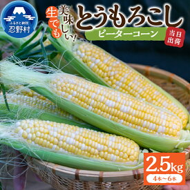 【ふるさと納税】 【2026年先行予約】 とうもろこし ピーターコーン 約2.5kg(4～6本入） 約5kg(10～12本) 朝採れ 人気 とうきび 野菜 お取り寄せ スイートコーン 産地直送 農家直送 直送 新鮮 贈り物 贈答 自宅用 食用 送料無料 山梨県 忍野村 ※沖縄県、離島不可