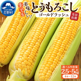 【ふるさと納税】 とうもろこし ゴールドラッシュ 約2.5kg(4～6本入） 約5kg(10～12本) コーン 朝採れ 人気 トウモロコシ 野菜 お取り寄せ スイートコーン 産地直送 農家直送 新鮮 ギフト 贈り物 贈答 送料無料 山梨県 忍野村 ※沖縄県、離島不可