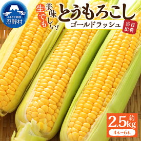 【ふるさと納税】 【2026年先行予約】 とうもろこし ゴールドラッシュ 約2.5kg(4～6本入） 約5kg(10～12本) コーン 朝採れ 人気 トウモロコシ 野菜 お取り寄せ スイートコーン 産地直送 農家直送 新鮮 ギフト 贈り物 贈答 送料無料 山梨県 忍野村 ※沖縄県、離島不可