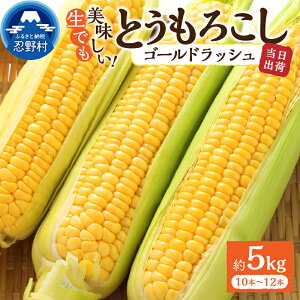 �y�ӂ邳�Ɣ[�Łz �y2026�N��s�\��z �Ƃ����낱�� �S�[���h���b�V�� ��2.5kg(4�`6�{���j ��5kg(10�`12�{) �R�[�� ���̂� �l�C �g�E�����R�V ��� ������ �X�C�[�g�R�[�� �Y�n���� �_�ƒ��� 