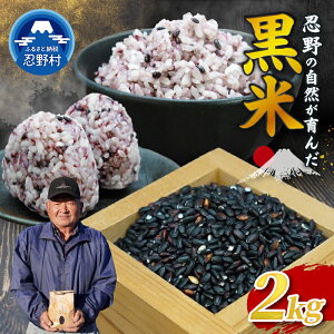 �y�ӂ邳�Ɣ[�Łz�y���ʌ���z ���� �� 500g 1kg 2kg �R���� �E�쑺�Y �ߘa7�N�Y ���� ���� �R�� ���e ���N �_�C�G�b�g �h�{�L�x �������� �E�쑺