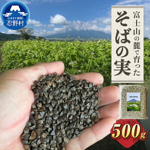 yӂ邳Ɣ[Łz RE쑺Y ΂̎ i _sgp    Nu  Mtg Y RY xmk[RY  E쑺 R