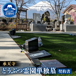 yӂ邳Ɣ[ŁzExmǂԂ쉀Pƕ ybg{ ybgn  L  [ V R E쑺