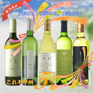 �����ʲ���