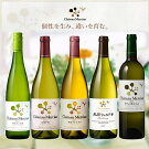 �����ʲ���