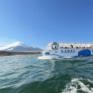 �����ʲ���