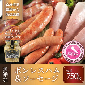 【ふるさと納税】【山中湖ハム 無添加ハム・ソーセージ】ソーセージ ハム 詰め合わせ セット 無添加 ボンレスハム（ブロック）/350g・豚肉と塩、ハーブ香辛料だけで作った無添加ソーセージ/400g 合計約0.75kg【無添加 お取り寄せ 送料無料 グルメ 人気 バーベキュー 】