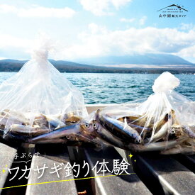 【ふるさと納税】手ぶらでワカサギ釣り体験 釣り ワカサギ 魚 体験 YM018