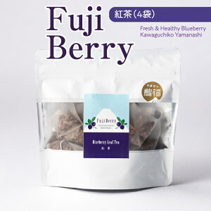 yӂ邳Ɣ[ŁzFuji Berry gi4܁j ӂ邳Ɣ[ u[x[ g eB[ R   NSAA011