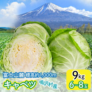 yӂ邳Ɣ[Łz 2026NLxc@9kg@i6`8ʁjӂ邳Ɣ[ Lxc VN  VLVL  R   NSAK005