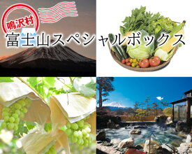 楽天市場 ふるさと納税 リフト券の通販