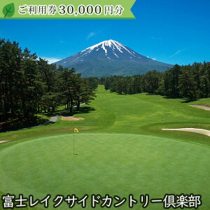 yӂ邳Ɣ[ŁzxmCNTChJg[y 2025NV[Yp30,000~ ӂ邳Ɣ[ St Stꗘp `Pbg  R   NSL015