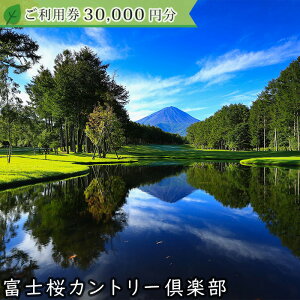 yӂ邳Ɣ[ŁzxmJg[y 2026NV[Yp30,000~ ӂ邳Ɣ[ St Stꗘp `Pbg  R   NSL016