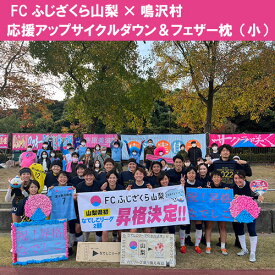 【ふるさと納税】 FCふじざくら山梨×鳴沢村 応援アップサイクルダウン＆フェザー枕（小）ふるさと納税 サッカー スポーツ ふじざくら 公式グッズ オリジナルグッズ 山梨県 鳴沢村 送料無料 NSM001