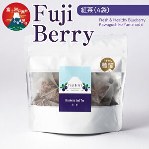yӂ邳Ɣ[ŁzFuji Berry gi4܁j ӂ邳Ɣ[ g u[x[ e N R xm͌Β  FAZ110