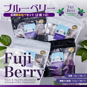 yӂ邳Ɣ[Łz Fuji Berry u[x[gݔ׃Zbgi2×2j ӂ邳Ɣ[ g u[x[ ݔ e N R xm͌Β  FAZ101