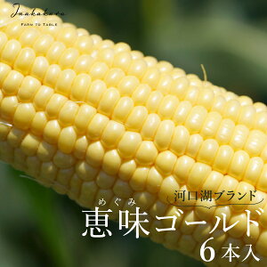 yӂ邳Ɣ[Łz 2026Ns\񁄁yxmR̘[ňz͌΃uhƂ낱InakakaraubS[hv6{ ӂ邳Ɣ[ lC  LO Ƃ낱 bS[h g