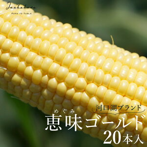 yӂ邳Ɣ[Łz 2026Ns\񁄁yxmR̘[ňz͌΃uhƂ낱InakakaraubS[hv20{ ӂ邳Ɣ[ lC  LO Ƃ낱 bS[h 