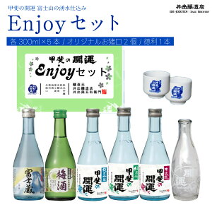 yӂ邳Ɣ[Łz b̊J^ {5ݔEnjoy Zbg e300ml IWi2Ɠ oX { FAK010