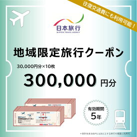 【ふるさと納税】 山梨県富士河口湖町　日本旅行　地域限定旅行クーポン300,000円分 ふるさと納税 旅行 クーポン 日本旅行 地域限定 富士山 河口湖 山梨県 富士河口湖町 送料無料 FBN001