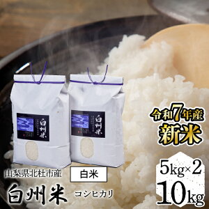 yӂ邳Ɣ[Łzyߘa7NYzVā@RkmsYBăRVqJiāj10kg ӂ邳Ɣ[ 10kg 5kg×2 RVqJ lC  Vzj v[g j 蕨 j 