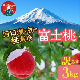 【ふるさと納税】＜26年発送先行予約＞【訳あり】河口湖で初の桃栽培！オリジナルブランド富士桃『訳あり』(約3キロ) ふるさと納税 訳あり 桃 もも おすすめ 人気 期間限定 山梨県 富士河口湖町 送料無料 FAH001