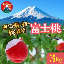 【ふるさと納税】 ＜26年発送先行予約＞河口湖で初の桃栽培！オリジナルブランド富士桃(約3キロ) ふるさと納税 桃 もも おすすめ 人気 期間限定 山梨県 富士河口湖町 送料無料 FAH004
