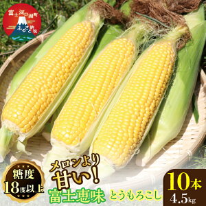 yӂ邳Ɣ[Łz 26Ns\񁄃ÂIŔƂ낱xmb10{Zbg S[h XC[gR[ ӂ邳Ɣ[ Ƃ낱  lC Ԍ R