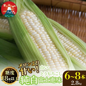 yӂ邳Ɣ[Łz 26Ns\񁄕xmȒnҖ]̔Ƃ낱It[cł͂Ȃ͂XC[cxmb6`8{ b ӂ邳Ɣ[ Ƃ낱  l