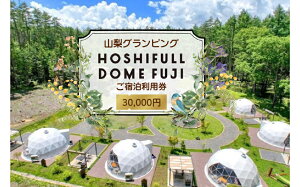 yӂ邳Ɣ[Łz HOSHIFULL DOME FUJI@OsOhpi30,000~j ӂ邳Ɣ[ HOSHIFULL DOME FUJI OsO h xm͌Β R FEA001