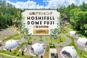 yӂ邳Ɣ[Łz HOSHIFULL DOME FUJI@OsOhpi3,000~j ӂ邳Ɣ[ HOSHIFULL DOME FUJI OsO h xm͌Β R FEA001