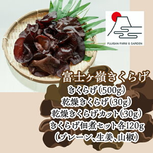 yӂ邳Ɣ[Łzxm䂫炰Zbg I RZbg  炰 uߕ ώ ̂ H@ S r^~D  O  xm͌Β R FDY003