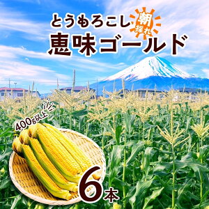 yӂ邳Ɣ[Łz2026Ns\ Ƃ낱 b S[h 400gȏ × 6{ x gERV XC[gR[ 冋o CG[R[  Ė Â W[V[   { 