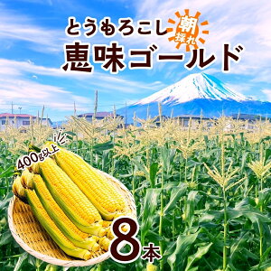 yӂ邳Ɣ[Łz 2026Ns\ Ƃ낱 b S[h 400gȏ × 8{ x gERV XC[gR[ 冋o CG[R[  Ė Â W[V[   { 