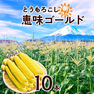 yӂ邳Ɣ[Łz 2026Ns\ Ƃ낱 b S[h 400gȏ × 10{ x gERV XC[gR[ 冋o CG[R[  Ė Â W[V[   {